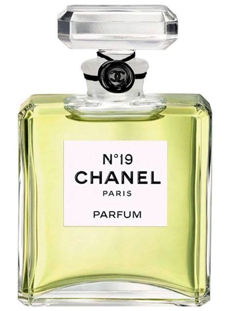 19 parfum chanel|cheap chanel no 19 perfume.